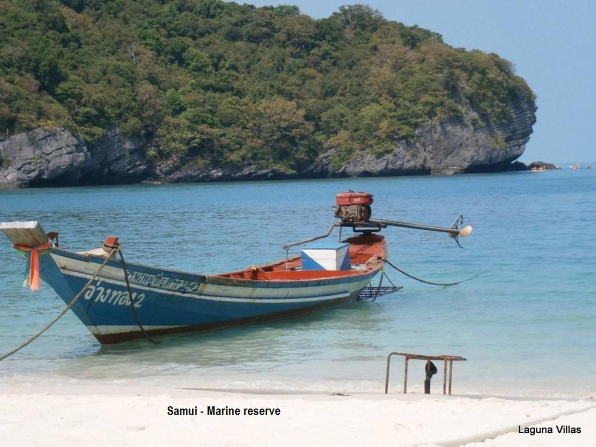 Beachfront Oasis With Private Pool And Jacuzzi On Samuis Bang Por Villa