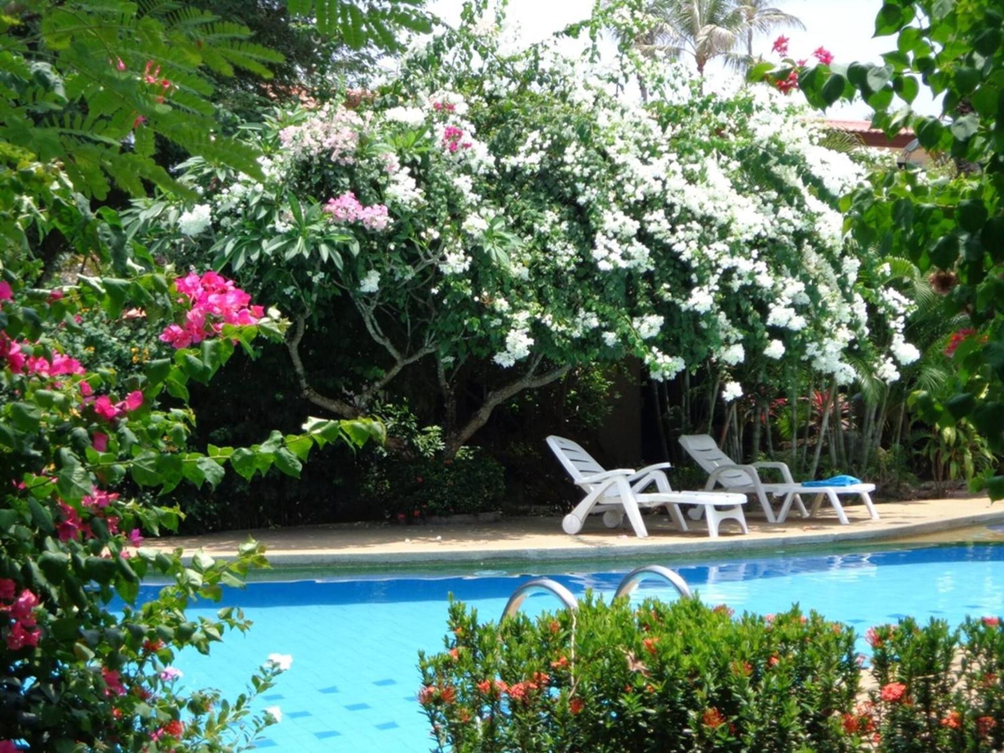 Villa Beachfront Oasis With Private Pool And Jacuzzi On Samuis Bang Por Ban Bang Po